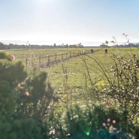 Weitblick Morsum (Sylt)